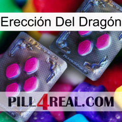 Erección Del Dragón 01